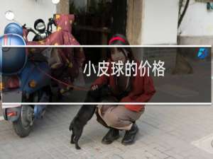 小皮球的价格