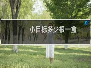 小目标多少根一盒