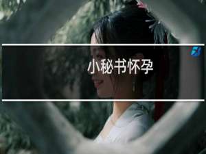 小秘书怀孕（小秘书登录）