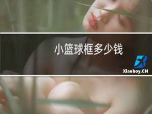 小篮球框多少钱