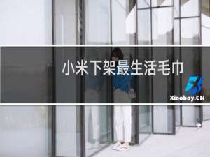 小米下架最生活毛巾