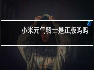 小米元气骑士是正版吗吗