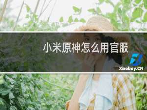 小米原神怎么用官服