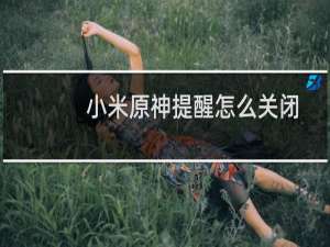 小米原神提醒怎么关闭