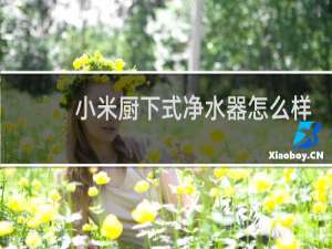 小米厨下式净水器怎么样