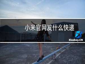 小米官网发什么快递