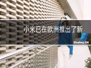 小米已在欧洲推出了新的智能手机 称为小米Mi10