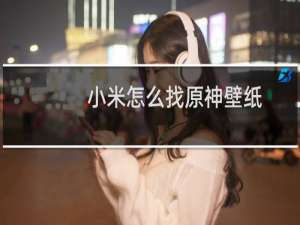 小米怎么找原神壁纸