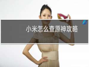 小米怎么查原神攻略