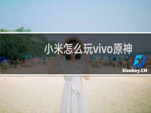 小米怎么玩vivo原神