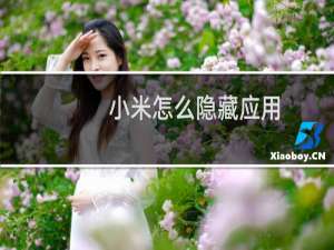 小米怎么隐藏应用