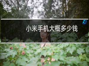 小米手机大概多少钱