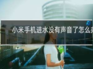 小米手机进水没有声音了怎么办