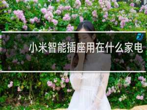 小米智能插座用在什么家電