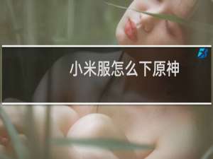 小米服怎么下原神