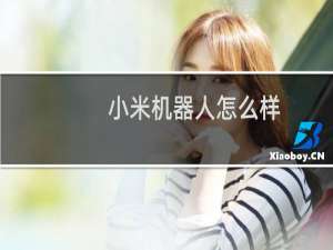 小米机器人怎么样