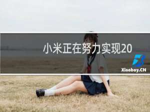 小米正在努力实现200 W及以上的快速充电