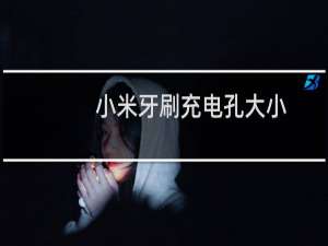 小米牙刷充电孔大小