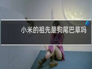 小米的祖先是狗尾巴草吗