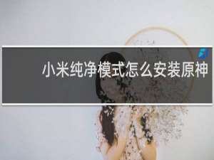 小米纯净模式怎么安装原神