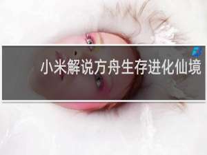 小米解说方舟生存进化仙境