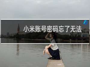 小米账号密码忘了无法激活手机怎么办（小米账号密码忘了的解决方法）