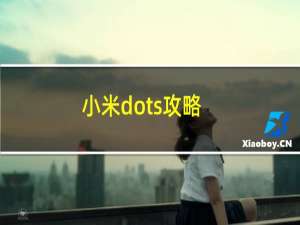 小米dots攻略