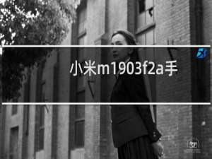小米m1903f2a手机什么价