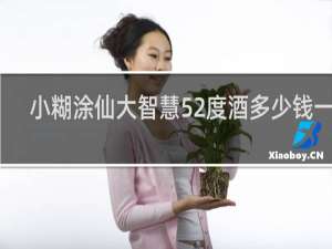 小糊涂仙大智慧52度酒多少钱一瓶