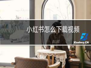 小红书怎么下载视频