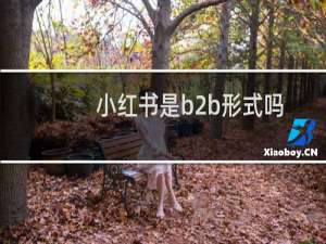 小红书是b2b形式吗