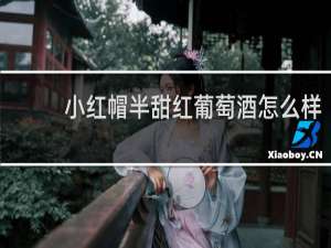 小红帽半甜红葡萄酒怎么样