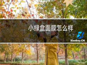 小绿盒面膜怎么样