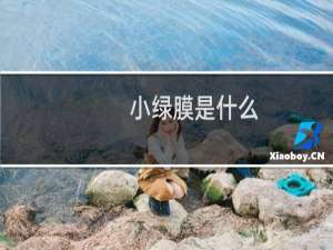 小绿膜是什么