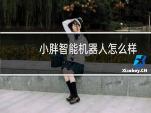 小胖智能机器人怎么样