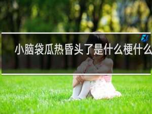 小脑袋瓜热昏头了是什么梗什么梗