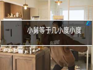 小舅等于几小度小度
