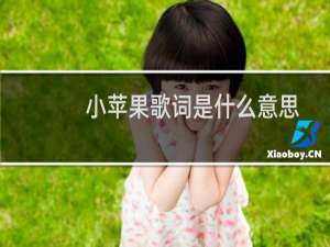 小苹果歌词是什么意思