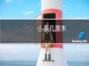 小茶几原木