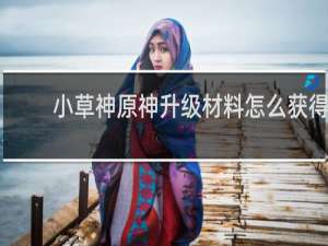 小草神原神升级材料怎么获得