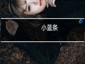 小蓝条