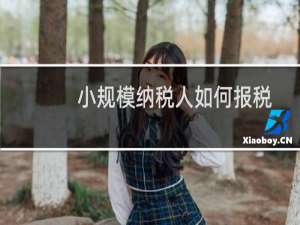 小规模纳税人如何报税视频（小规模纳税人如何报税）