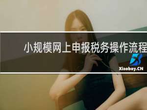 小规模网上申报税务操作流程
