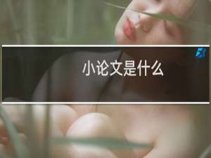 小论文是什么