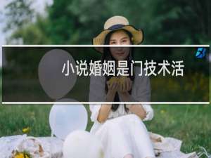 小说婚姻是门技术活