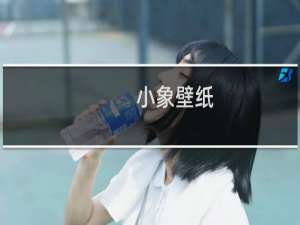 【小象壁纸】免费小象壁纸软件下载