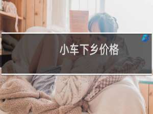 小车下乡价格