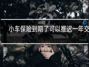 小车保险到期了可以推迟一年交吗