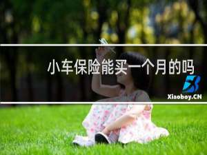 小车保险能买一个月的吗