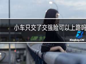 小车只交了交强险可以上路吗